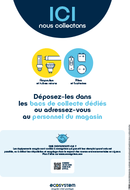 Ampoules/tubes néons et piles/batteries